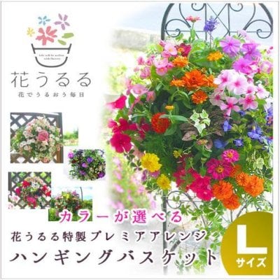るるページ モールフラワー 7点 プレゼント 花うるる～花でうるおう毎日 - プレゼント＆ギフトのギフトモール