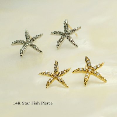 ピアス レディース　ピアス K14 ポスト スター フィッシュ ヒトデ ピアス 金属アレルギー 対応 ピアス ひとで   母の日 誕生日 プレゼント 女友達 ギフト  結婚記念日   ピアス ゴールド