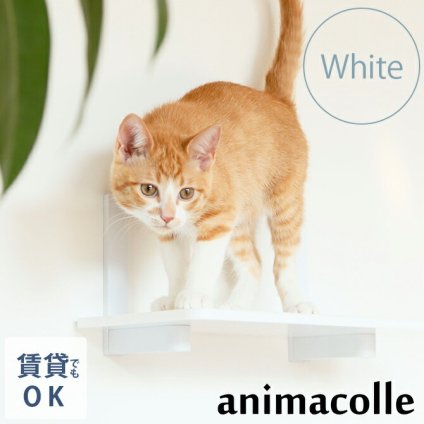 animacolle アニマコレ Catroad+  キャットステップ　ホワイト