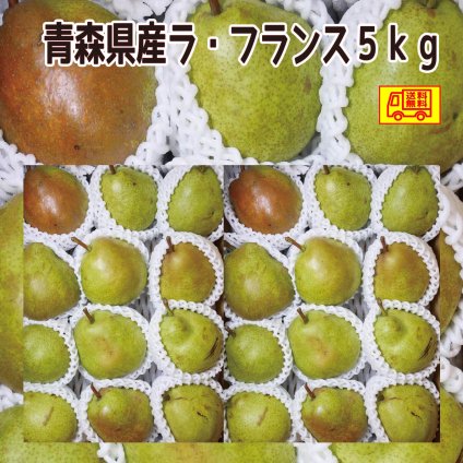 青森県産　洋梨ラ・フランス　ご家庭用　普通サイズ（M～2L）　12～24玉　5ｋｇ　送料無料