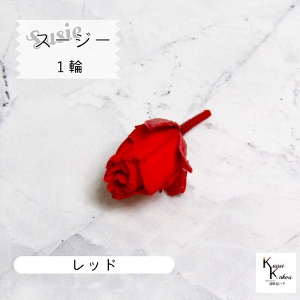 大地農園！プリザーブドフラワー 「スージー レッド 1輪」  贈り物　オオチノウエン