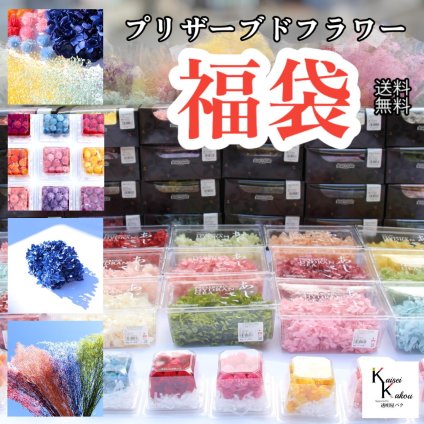 大地農園！プリザーブドフラワー「福袋　100000円分　千日紅・アジサイ・カスミ草」送料無料　花材　ハーバリウム　贈り物　オオチノウエン　カシワバアジサイ　ピラミッドアジサイ　ゆめアジサイ　ミニカスミ草　紫陽花　カスミソウ