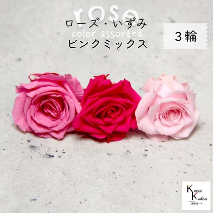 大地農園！プリザーブドフラワー 「ローズいずみ カラーアソート ピンクミックス 1輪ずつ3輪」 「シャーベットピンク プリンセスピンク フランボワーズ 1輪ずつ3輪」 プリザ 花材 ハーバリウム オオチノウエン バラ 薔薇 ローズ rose