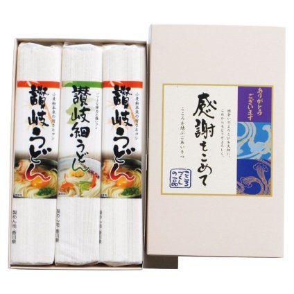 【ギフト対応無料】讃岐うどん 感謝をこめて (MYF-100K) ※送料無料(ポスト投函)