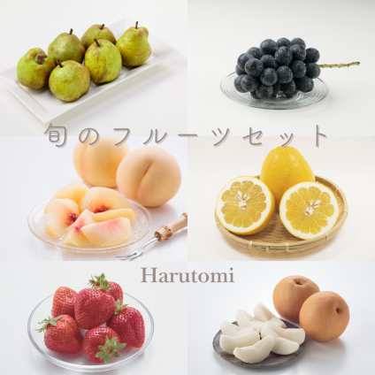 旬のフルーツセット【2~3種】【贈答用化粧箱入り】【送料無料】_GM120-001__フルーツ/果物