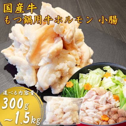 土佐あかうし・ゆすはら牛入り 国産牛 牛もつ 牛小腸 開き丸腸 300g～1.5kg もつ鍋用 ホルモン 味付けなし 高知県加工 高知産 急速冷凍 小分け お取り寄せ グルメ もつ鍋 鍋 お歳暮 年末年始 必要な量だけ使える小分け袋入り 【ヤマトクール便・送料無料】