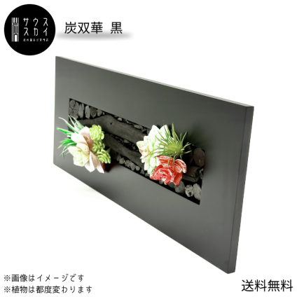 【送料無料】サウススカイ 紀州備長炭 炭双華 黒 多肉植物 インテリア フレーム おしゃれ 和風 和室 和モダン 玄関   飾り オブジェ 消臭 脱臭 除湿 風水 上品 センスいい かっこいい 可愛い 華やか 飲食店 旅館 オフィス 応接室 新築祝 開店祝 誕生日 プレゼント ギフト
