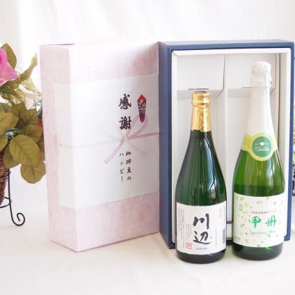 感謝の贈り物ボックス フルーティーな香り球磨焼酎と国産ワインセット(酸化防止剤無添加 信州コンコード赤ワイン 甘口(長野県)720ml純米焼酎川辺(熊本県)720ml