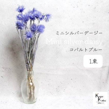 大地農園！プリザーブドフラワー 「ミニシルバーデージー コバルトブルー 1束 」 プリザ ギフト 花材 資材 インテリア ハーバリウム プレゼント 贈り物 お見舞い シンプル 材料 フラワーアレンジ アレンジメント 手芸 工作