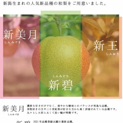 【予約：9月上旬〜随時発送】【お取り寄せご自宅用】にいがた和梨3種食べ比べ定期便 ギフト プレゼント お中元 お歳暮 出産祝い 内祝い お誕生日 御祝 御礼 母の日 父の日 敬老の日 記念日 手土産 季節の贈り物【送料無料】