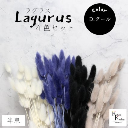 大地農園！プリザーブドフラワー 「ラグラス 半束×4色 クールカラー（白・黒・ネイビー・パールグレー）」プリザ 花材 ハーバリウム おしゃれ かわいい プレゼント 贈り物　オオチノウエン