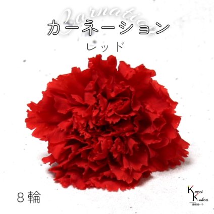大地農園！ プリザーブドフラワー 「カーネーション　レッド　1箱（8輪）」プリザ ドライフラワー 花材 装飾 ハーバリウム 母の日 おしゃれ かわいい プレゼント 贈り物 オオチノウエン