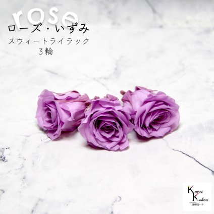 大地農園！プリザーブドフラワー 「ローズいずみ 3輪 スウィートライラック」プリザ 花材 ハーバリウム おしゃれ かわいい プレゼント 贈り物　オオチノウエン バラ 薔薇 ローズ rose