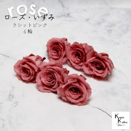 大地農園！プリザーブドフラワー 「ローズいずみ 6輪 ラシットピンク」プリザ 花材 ハーバリウム おしゃれ かわいい プレゼント 贈り物　オオチノウエン バラ 薔薇 ローズ rose