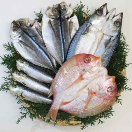 九州産 天然鮮魚 厳選 一夜干し 4種セット ( れんこ鯛 真サバ 真アジ 真イワシ ) 五島灘の塩仕込み 伝統製法 熟成乾燥 絶品お取り寄せ グルメ 魚介 海鮮 ギフト 贈答