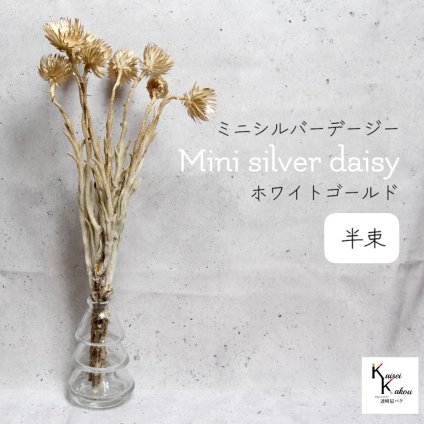 大地農園！プリザーブドフラワー 「ミニシルバーデージー ホワイトゴールド 半束 」 プリザ ギフト 花材 資材 インテリア ハーバリウム プレゼント 贈り物 お見舞い シンプル 材料 フラワーアレンジ アレンジメント 手芸 工作
