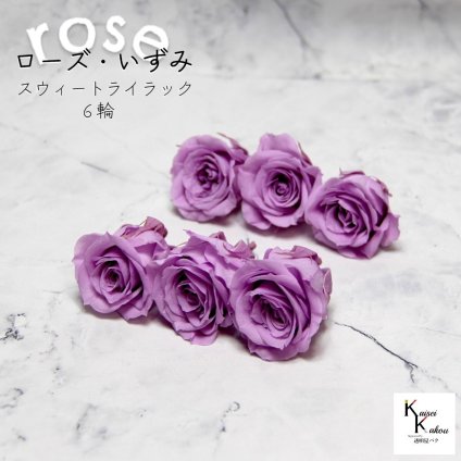大地農園！プリザーブドフラワー 「ローズいずみ 6輪 スウィートライラック」プリザ 花材 ハーバリウム おしゃれ かわいい プレゼント 贈り物　オオチノウエン バラ 薔薇 ローズ rose