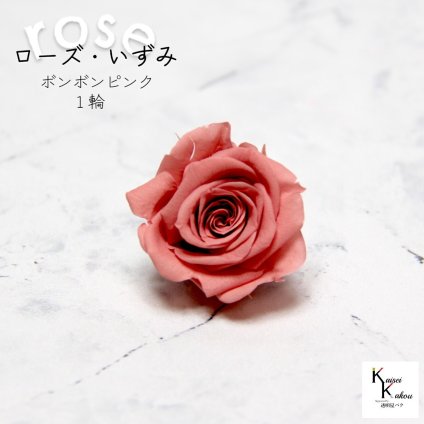 大地農園！プリザーブドフラワー 「ローズいずみ 1輪 ボンボンピンク」プリザ 花材 ハーバリウム おしゃれ かわいい プレゼント 贈り物　オオチノウエン バラ 薔薇 ローズ rose