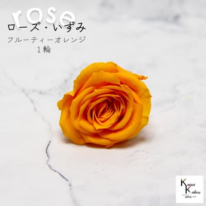 大地農園！プリザーブドフラワー 「ローズいずみ 1輪 フルーティーオレンジ」プリザ 花材 ハーバリウム おしゃれ かわいい プレゼント 贈り物　オオチノウエン バラ 薔薇 ローズ rose