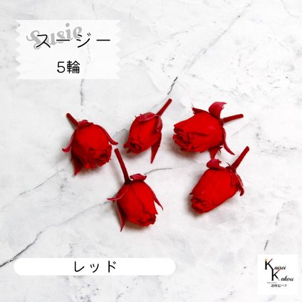 大地農園！プリザーブドフラワー 「スージー レッド 5輪」プリザ 花材 ハーバリウム おしゃれ かわいい プレゼント 贈り物　オオチノウエン