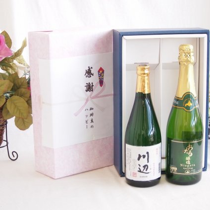 感謝の贈り物ボックス フルーティーな香り球磨焼酎と国産ワインセット(北海道の詩 完熟ナイヤガラ白ワイン 甘口(北海道)720ml純米焼酎川辺(熊本県)720ml