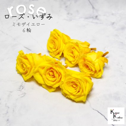 大地農園！プリザーブドフラワー 「ローズいずみ 6輪 ミモザイエロー」プリザ 花材 ハーバリウム おしゃれ かわいい プレゼント 贈り物　オオチノウエン バラ 薔薇 ローズ rose