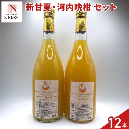 愛媛 エヒメエンゲージファーム 新甘夏 河内晩柑 ジュース セット 2種 計12本入 フルーツジュース 果汁飲料 ストレート ジュース 国産