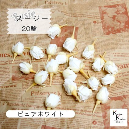 大地農園！プリザーブドフラワー 「スージー ピュアホワイト 20輪」プリザ 花材 ハーバリウム おしゃれ かわいい プレゼント 贈り物　オオチノウエン