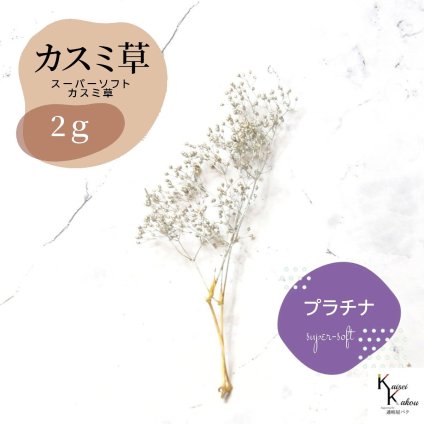 「大地農園 スーパーソフトミニカスミ草 プラチナ 2g 」 ドライフラワー 花材 ハーバリウム 素材 小さいお花 アレンジメント ギフト 母の日 お誕生日 オオチノウエン プリザーブドフラワー プリザーブド プリザ かすみそう カスミ ハンドメイド