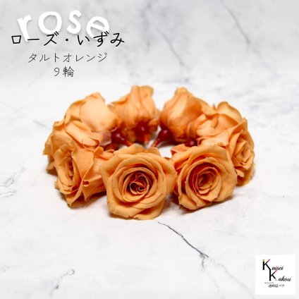 大地農園！プリザーブドフラワー 「ローズいずみ 9輪 タルトオレンジ」プリザ 花材 ハーバリウム おしゃれ かわいい プレゼント 贈り物　オオチノウエン バラ 薔薇 ローズ rose