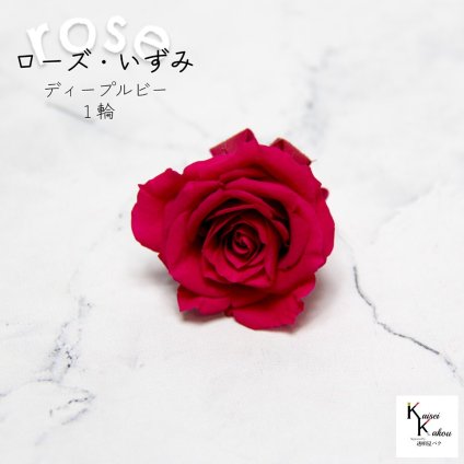 大地農園！プリザーブドフラワー 「ローズいずみ 1輪 ディープルビー」プリザ 花材 ハーバリウム おしゃれ かわいい プレゼント 贈り物　オオチノウエン バラ 薔薇 ローズ rose
