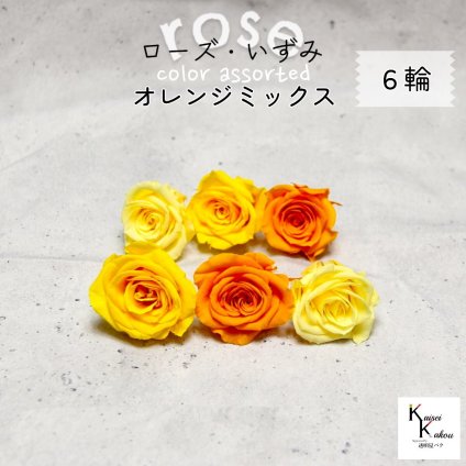 大地農園！プリザーブドフラワー 「ローズいずみ カラーアソート オレンジミックス 2輪ずつ6輪」 「モーニングイエロー ミモザイエロー フルーティーオレンジ 2輪ずつ6輪」 プリザ 花材 ハーバリウム オオチノウエン バラ 薔薇 ローズ rose