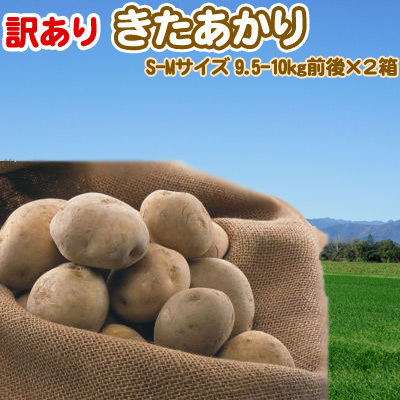 きたあかり 9.5-10kg×2箱 訳あり 北海道 じゃがいも S-Mサイズ 送料無料 ※沖縄は送料別途加算 キタアカリ