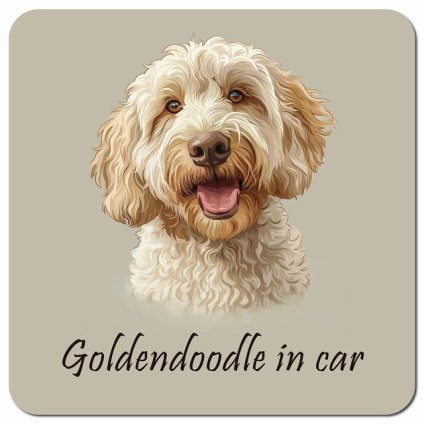 名入れ可 イラスト付 Dog in Car ゴールデンドゥードル Bタイプ カーサイン 車 マグネットステッカー 犬 マグネット 強力 13x13cm 正方形ドラレコステッカー 安全対策 危険運転 煽り運転 アニマル 動物 犬種別 屋外 防水 屋内