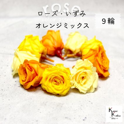 大地農園！プリザーブドフラワー 「ローズいずみ カラーアソート オレンジミックス 3輪ずつ9輪」 「モーニングイエロー ミモザイエロー フルーティーオレンジ 3輪ずつ9輪」 プリザ 花材 ハーバリウム オオチノウエン バラ 薔薇 ローズ rose
