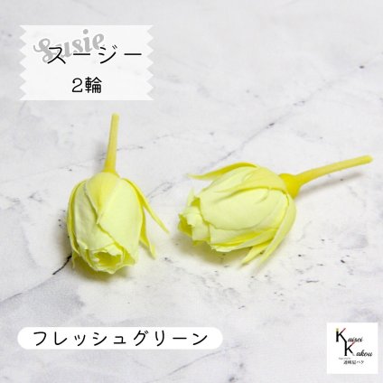大地農園！プリザーブドフラワー 「スージー フレッシュグリーン 2輪」プリザ 花材 ハーバリウム おしゃれ かわいい プレゼント 贈り物　オオチノウエン