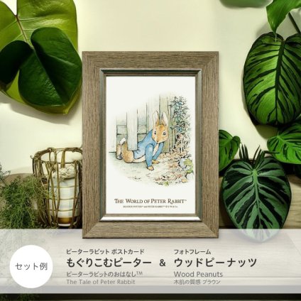 ピーターラビット ポストカード フォトフレームセット【ウッドピーナッツ】