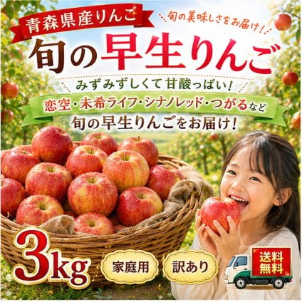青森県産　りんご　旬の早生ふじ　訳あり　3kg 送料無料！　恋空・未希ライフ・シナノレッド・つがるなど旬のものをお届け！