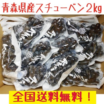 青森県産スチューベンぶどう 優品　２ｋｇ　全国送料無料