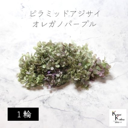 メール便で発送 大地農園！プリザーブドフラワー 「ピラミッドアジサイ・ヘッド（グラデーション） オレガノパープル 1輪分」 プリザ アジサイ 紫陽花 花材 ハーバリウム おしゃれ かわいい プレゼント 贈り物 オオチノウエン ピラミッドアジサイ