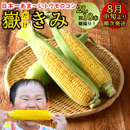 【８月上旬より随時出荷】とうもろこし 嶽きみ 産地直送 嶽きみ  トウモロコシ 恵味  2Lサイズ 7月末より随時お届け 青森県産 とうもろこし お歳暮 御歳暮 れいたす 出荷開始 大絶賛 野菜 送料無料