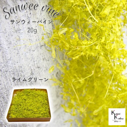 大地農園！プリザーブドフラワー 「サンウィーバイン ライムグリーン 20g」プリザ 花材 ハーバリウム おしゃれ かわいい プレゼント 贈り物　オオチノウエン sanweevine サンウィーバイン