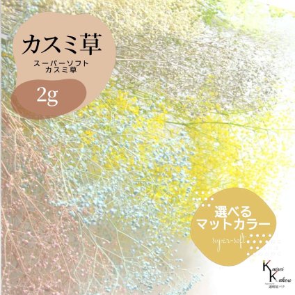 「大地農園 スーパーソフトミニカスミ草 選べるマットカラー 2g」 ドライフラワー 花材 ハーバリウム 素材 小さいお花 アレンジメント ギフト 母の日 お誕生日 オオチノウエン プリザーブドフラワー プリザーブド プリザ かすみそう カスミ ハンドメイド