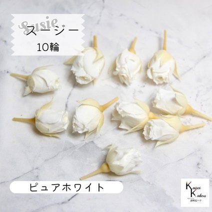 大地農園！プリザーブドフラワー 「スージー ピュアホワイト 10輪」プリザ 花材 ハーバリウム おしゃれ かわいい プレゼント 贈り物　オオチノウエン