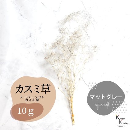 「大地農園 スーパーソフトミニカスミ草 マットグレー 10g 」 ドライフラワー 花材 ハーバリウム 素材 小さいお花 アレンジメント ギフト 母の日 お誕生日 オオチノウエン プリザーブドフラワー プリザーブド プリザ かすみそう カスミ ハンドメイド