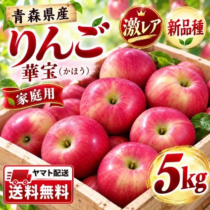 【新品種・希少】青森県産　りんご　家庭用　華宝（かほう）　大玉　5kg　12～20玉　送料無料！