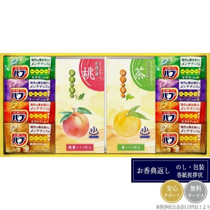 炭酸力の薬用入浴剤セット BB25