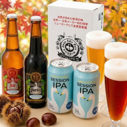 世界一 金賞受賞入り クラフトビール2種 セッションIPA2缶 飲み比べ 4本セット 世界一に輝いたビール入り3種 詰め合わせ 