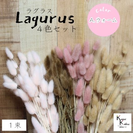 大地農園！プリザーブドフラワー 「ラグラス 1束×4色 ウォームカラー（ピンク・ナチュラルピンク・ナチュラルベージュ・ブラウン）」プリザ 花材 ハーバリウム おしゃれ かわいい プレゼント 贈り物　オオチノウエン