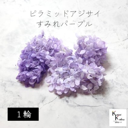 メール便で発送 大地農園！プリザーブドフラワー 「ピラミッドアジサイ・ヘッド（グラデーション） すみれパープル 1輪分」 プリザ アジサイ 紫陽花 花材 ハーバリウム おしゃれ かわいい プレゼント 贈り物 オオチノウエン ピラミッドアジサイ